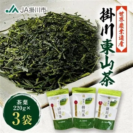 贅沢な詰め放題　深蒸し掛川茶(茶葉) 220g×3袋【配送不可地域：離島・沖縄県】【1697765】