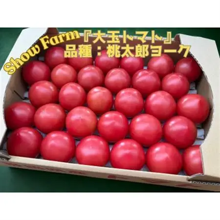 Show Farmの『大玉トマト』(品種:桃太郎トマト)計 約3.5～4kg【配送不可地域：離島・沖縄県】【1721445】