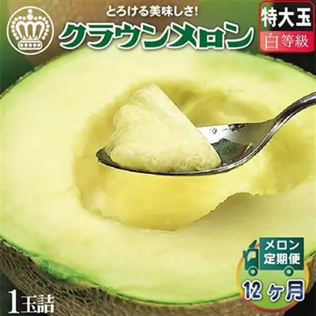 【毎月定期便】クラウンメロン 白等級 特大 1玉 静岡県産 高級マスクメロン【1年中お届け】全12回【配送不可地域：離島・北海道・沖縄県】【4012659】