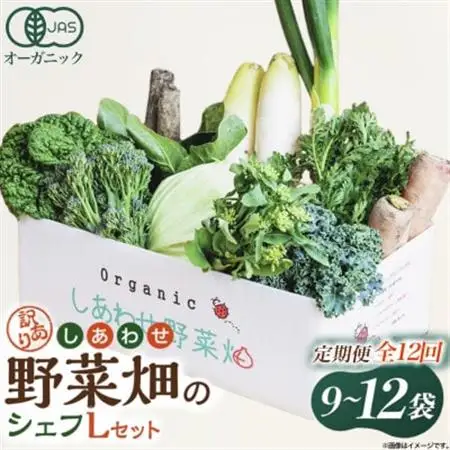 【毎月定期便】しあわせ野菜畑のシェフLセット　(訳あり規格外の有機野菜を一部使用)全12回【配送不可地域：離島・北海道・沖縄県・四国・九州】【4066429】