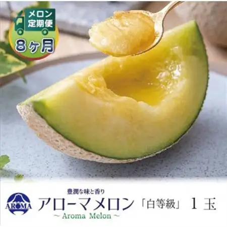【毎月定期便】アローマメロン(白等級) 1玉　全8回【配送不可地域：離島・北海道・沖縄県】【4071989】
