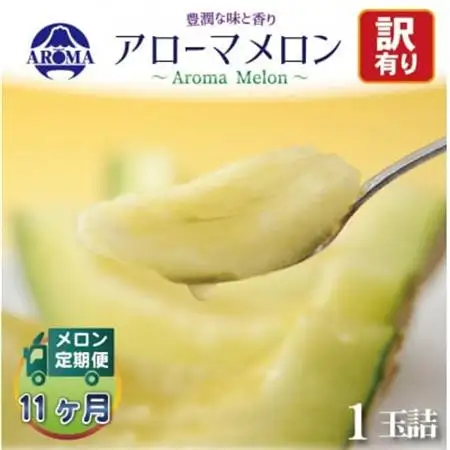 【毎月定期便】【訳あり】アローマメロン 1玉　全11回【配送不可地域：離島・北海道・沖縄県】【4071995】