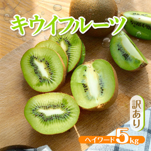訳アリ（扁平化）キウイ　ヘイワード　５kg