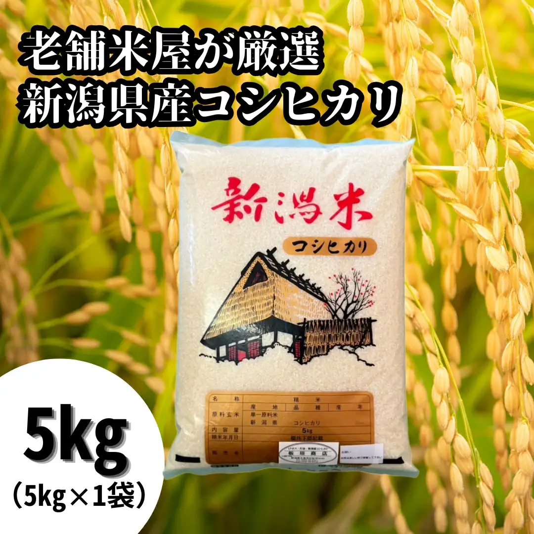 令和7年産 老舗米屋が厳選 コシヒカリ 精米 5kg(5kg×1袋) 五泉市産 | 新潟産コシヒカリ 新潟県産コシヒカリ 新潟県 五泉市 板垣商店