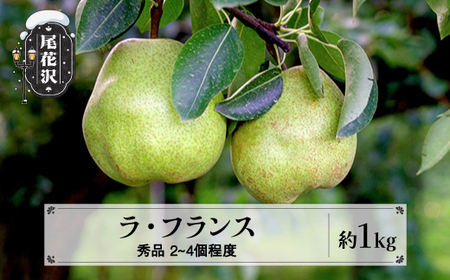 先行予約 ラ・フランス 秀品 約1kg(2~4個程度) 11月上旬~下旬頃発送  令和8年産 2026年産 sb-lasyx1-b