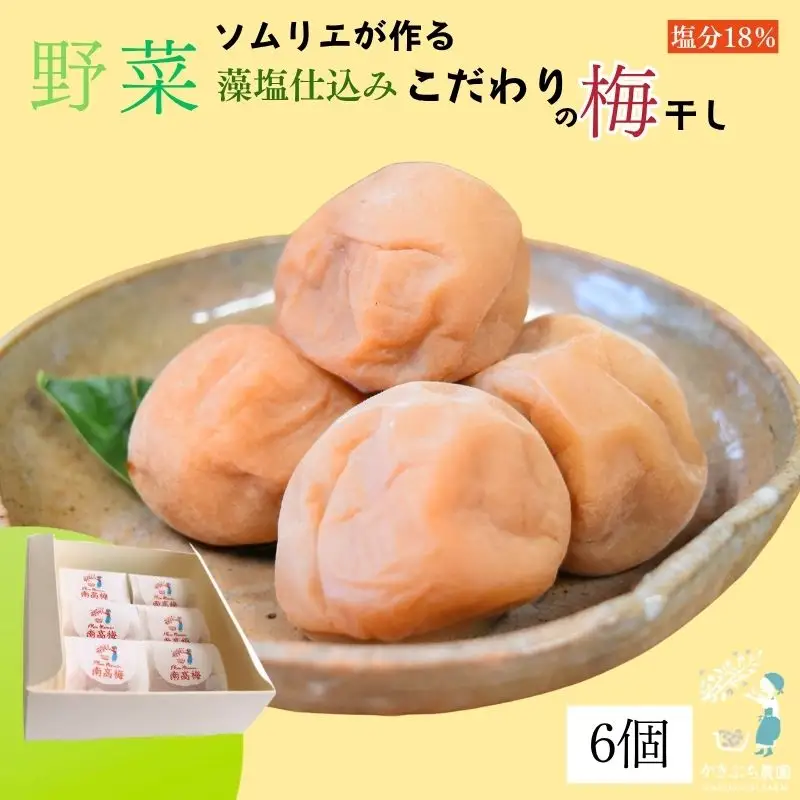 【塩分 18％】和歌山県 紀州南高梅 野菜ソムリエが作る藻塩仕込み こだわりの梅干し 6個入り【kkbc001】