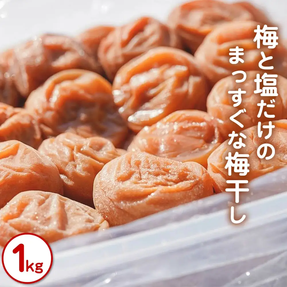 梅と塩だけのまっすぐな梅干し 1kg 塩分約20％｜昔ながらの製法 自家農園 和歌山みなべ町 梅干 白干し 梅 うめ 南高梅 紀州梅干 ギフト【masugu001A】
