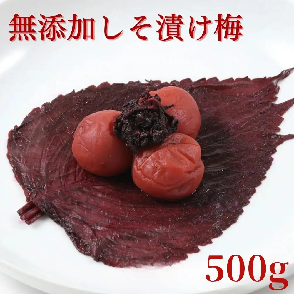 ご家庭用梅干し　無添加しそ漬け梅　500g / みなべ町 梅干 うめぼし ウメ しそ梅 紫蘇漬け梅 家庭用 紀州南高梅 南高梅 簡易包装 お弁当 おにぎり【mrt015】