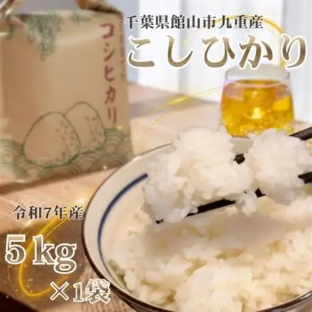【令和7年産】館山市九重産コシヒカリ　5kg 精米【1728953】
