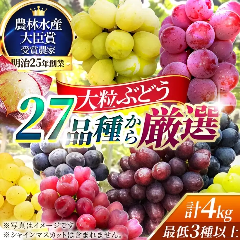 【2026年先行予約】27種の大粒品種から届く「秋の大粒ぶどう宝石箱」（シャインマスカット含まず）約4kg（9月中旬～下旬発送分）|ぶどう 詰合せ 希少 セット 大粒  残暑見舞い 敬老の日 葡萄 ブドウ 果物 フルーツ くだもの 大阪 贈答 プレゼント