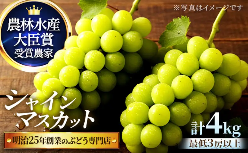 【2026年先行予約】直売所限定販売の数量限定シャインマスカット 約4kg（7月中旬～8月上旬発送）｜特選 期間限定 ぶどう 葡萄 フルーツ 果物 くだもの 人気 贈答用 ギフト 先行予約 種なし 旬 新鮮 プレゼント 贅沢 甘い お歳暮 大粒 マスカット