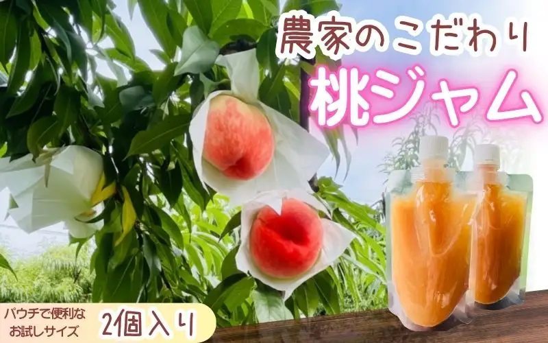 農家のこだわり桃ジャム 添加物不使用・おうち用パウチ お試し桃ジャム　2個 【aozf009】