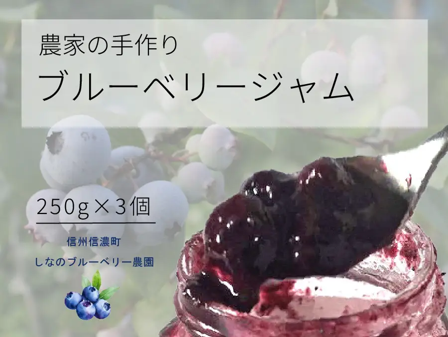 信濃町産「ブルーベリージャム」 250g×3個セット　粒が大きく味の濃いハイブッシュ系にこだわったブルーベリーのジャム【長野県信濃町／しなのブルーベリー農園】
