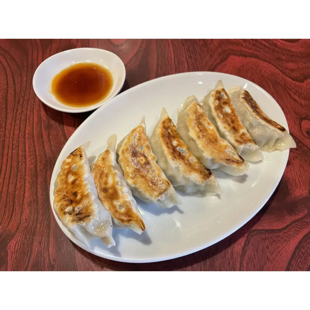 野菜餃子 45個【配送不可：沖縄県・離島】