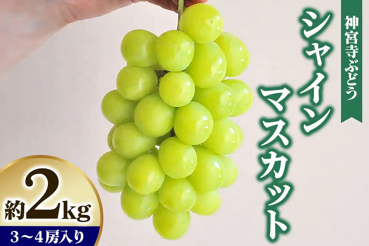 [先行予約] 神宮寺ぶどう シャインマスカット 2kg [0322]