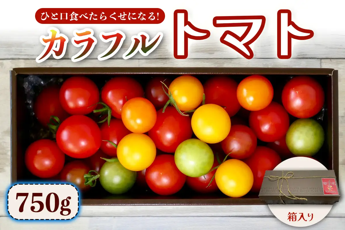 カラフルトマト 箱入り 5品種詰め合わせ 750g ひと口食べたらくせになる！｜ミックス 甘い プレゼント 贈り物 ギフト [1041]