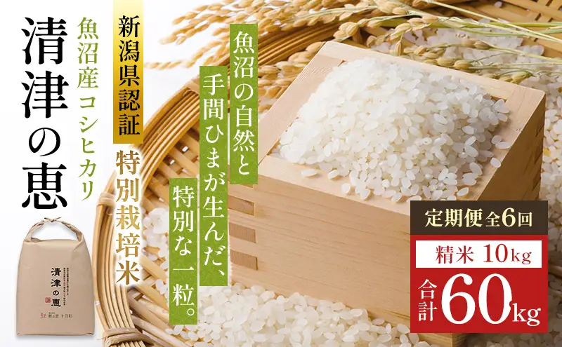 【令和8年産 先行予約】〈定期便〉魚沼産特別栽培米コシヒカリ［清津の恵］精米10kg（5kgx2袋）全6回