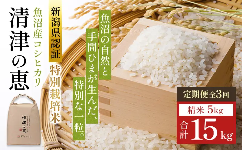 【令和8年産 先行予約】〈定期便〉魚沼産特別栽培米コシヒカリ［清津の恵］精米5kg全3回
