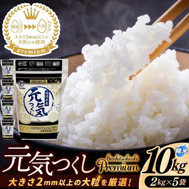 【ふるさと納税】福岡県産 元気つくし プレミアム 精米 2kg×5P（計10kg） 配送日時指定不可 2週間～2ヶ月に発送 [a0836] ※配送不可：離島【返礼品】添田町 ふるさと納税
