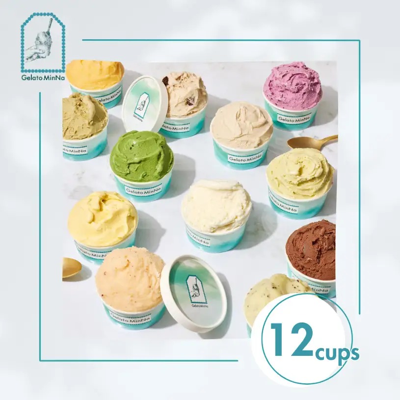 Gelato MinNa からだにやさしいご褒美ジェラート 12個セット 0181-003-S07