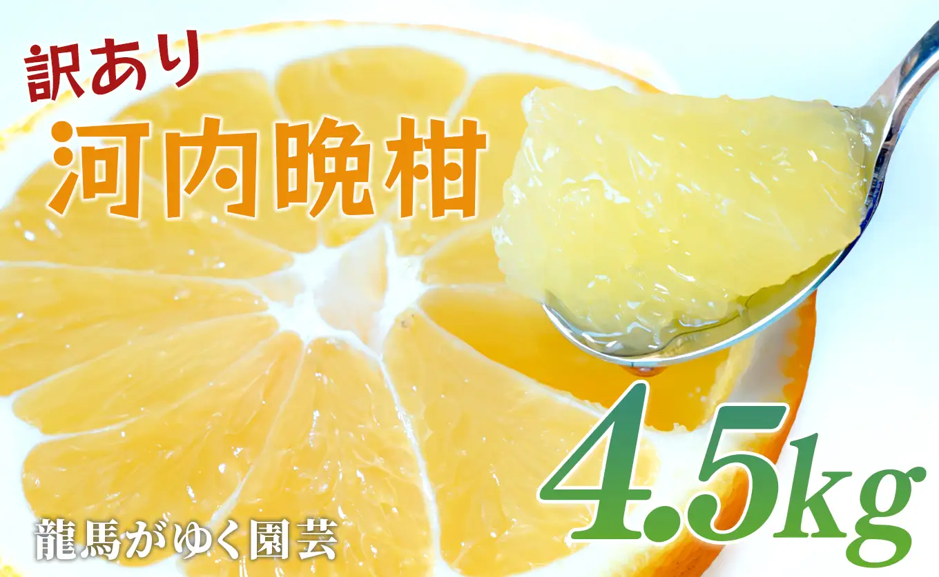 【訳あり】 河内晩柑 4.5kg （M～5L） ばんかん 晩柑 夏文旦 家庭用 みかん 柑橘