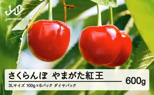《先行予約》2026年 山形県産 さくらんぼ やまがた紅王 3Lサイズ 100g 6パック入り ※沖縄・離島への配送不可 ts-yb3ld600