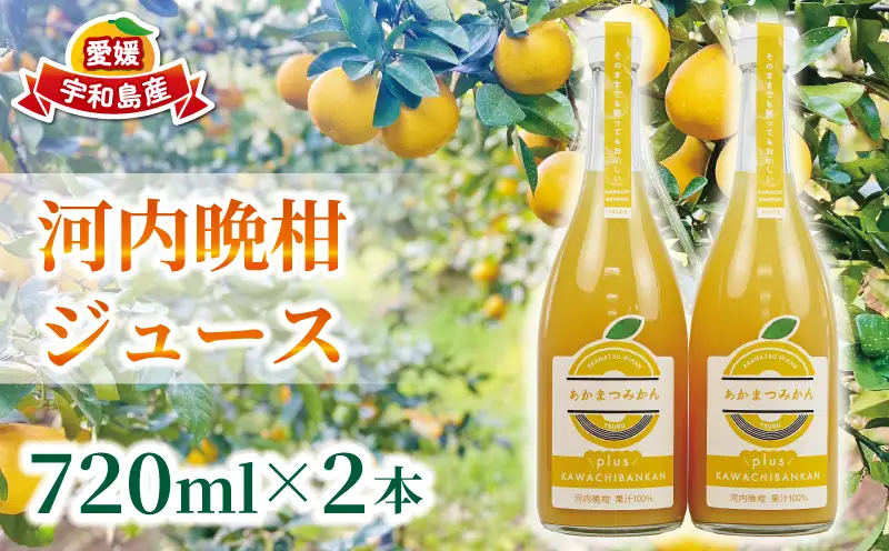 河内晩柑 ジュース 720ml × 2本 セット あかまつみかん ストレートジュース 愛媛 の 柑橘ジュース みかんジュース みかん 蜜柑 mikan フルーツジュース 果汁 100% 飲料 柑橘 ギフト 贈答用 果物 くだもの フルーツ 国産 愛媛 宇和島 H012-203002