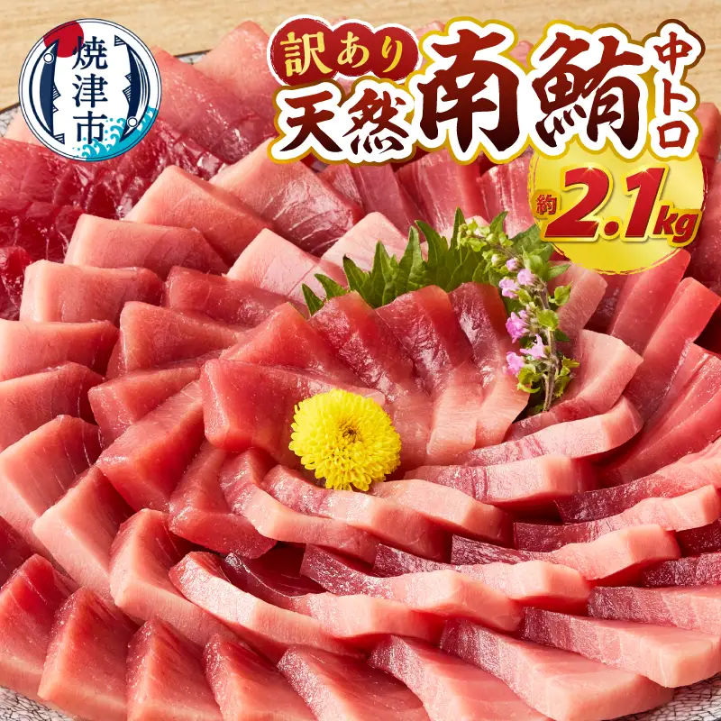 a52-002　訳あり ミナミマグロ まぐろ マグロ 鮪 刺身 中トロ 天然 切り落とし 約2.1kg
