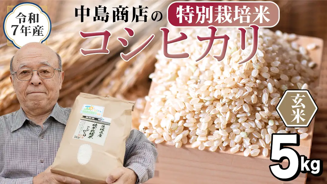 令和7年産 茨城県産 玄米 特別栽培米 コシヒカリ 5kg （5kg×1袋）