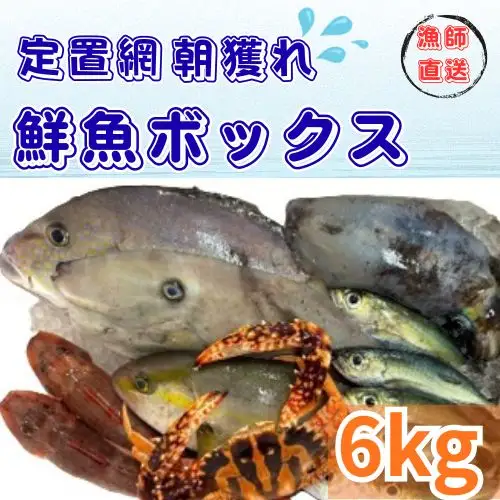 133003　定置網朝どれ鮮魚ボックス6kg