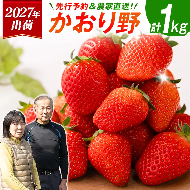 ＜2027年出荷＞先行予約 宮崎県産 いちご「かおり野」計1kg フルーツ 期間限定 デザート ご褒美【B700】