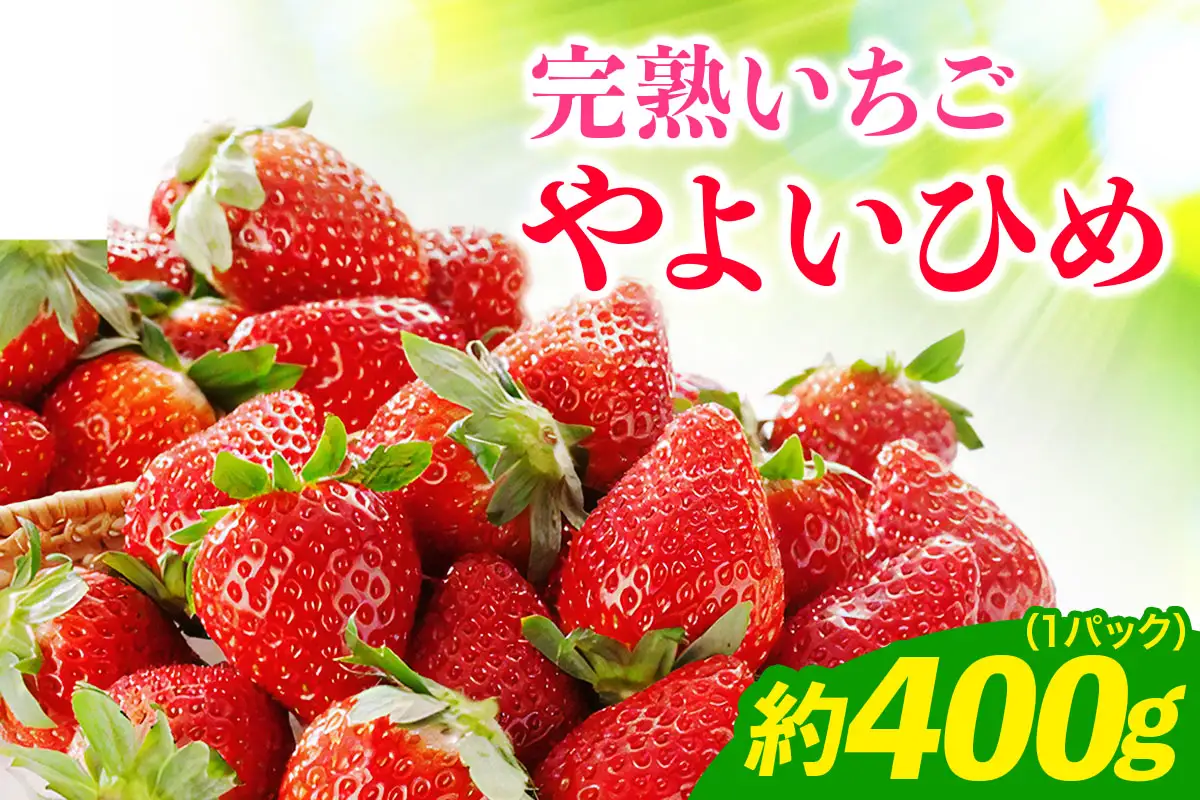 《2027年1月中旬より順次発送》完熟いちご やよいひめ 約400g (12粒から15粒) 1パック 栗丸農園直送 [1067]