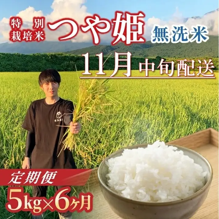 SH0071　11月中旬発送開始／【6回定期便】令和8年産 ［無洗米］つや姫　5kg×6回(計30kg) 農家直送 HO