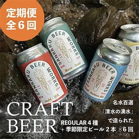 【発送月固定定期便】Sankaku Beer Works クラフトビール定期便全6回【配送不可地域：離島】【4084792】