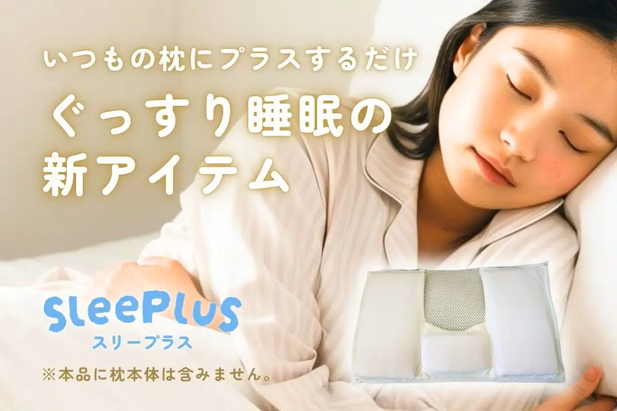 SleePluS 枕カバー 1個
