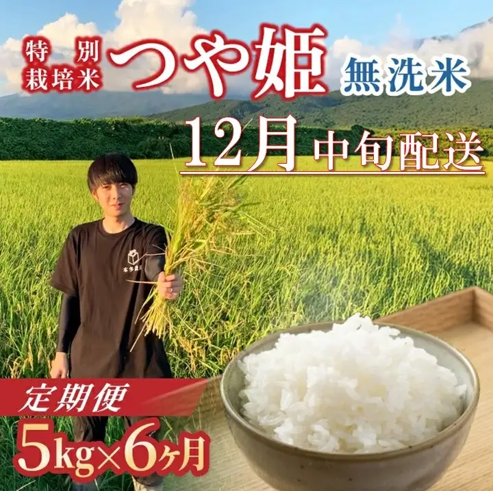 SH0072　12月中旬発送開始／【6回定期便】令和8年産 ［無洗米］つや姫　5kg×6回(計30kg) 農家直送 HO
