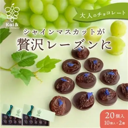 山梨県産シャインマスカット使用 大粒レーズンのチョコレート マンディアン 10個入り×2箱【配送不可地域：離島】【1719164】