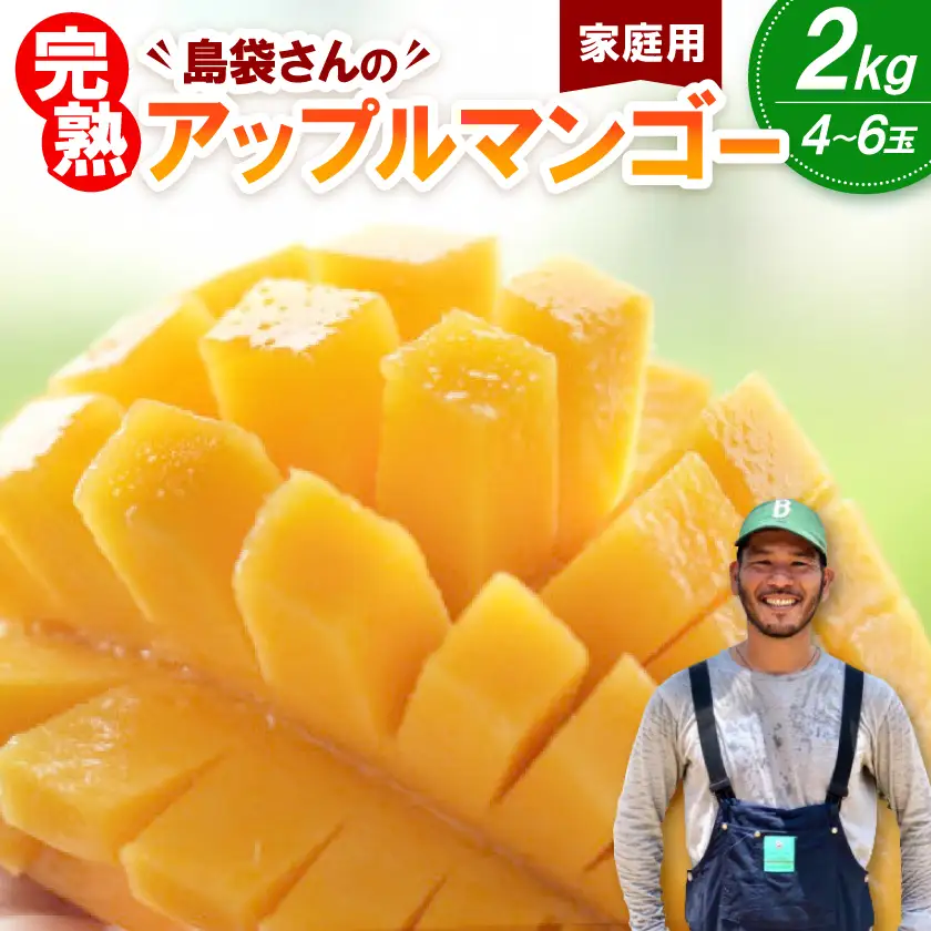 【2026年7月上旬から順次発送・家庭用】島袋さんの完熟アップルマンゴー 2kg(4～6玉)【配送不可地域：離島】【1726289】