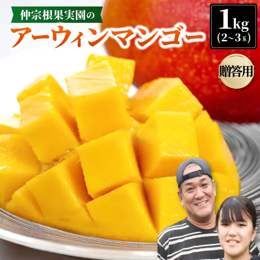 【2026年7月から順次発送・贈答用】仲宗根果実園のアーウィンマンゴー1kg(2～3玉)【配送不可地域：離島】【1726878】