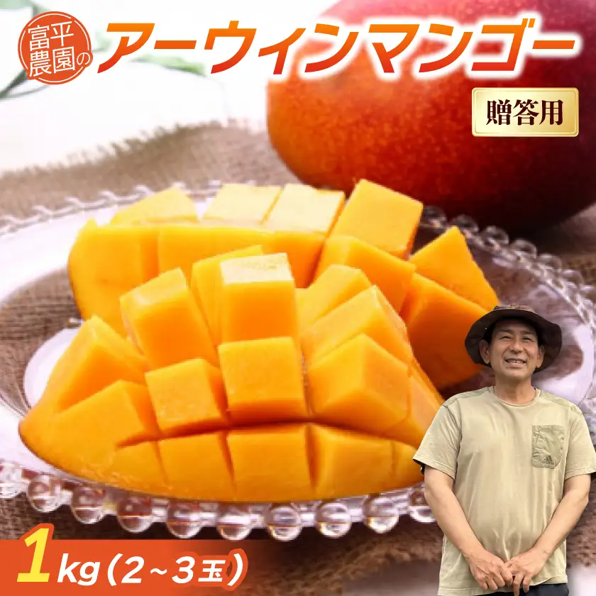 【2026年7月から順次発送・贈答用】富平農園のアーウィンマンゴー1kg(2～3玉)【配送不可地域：離島】【1726880】