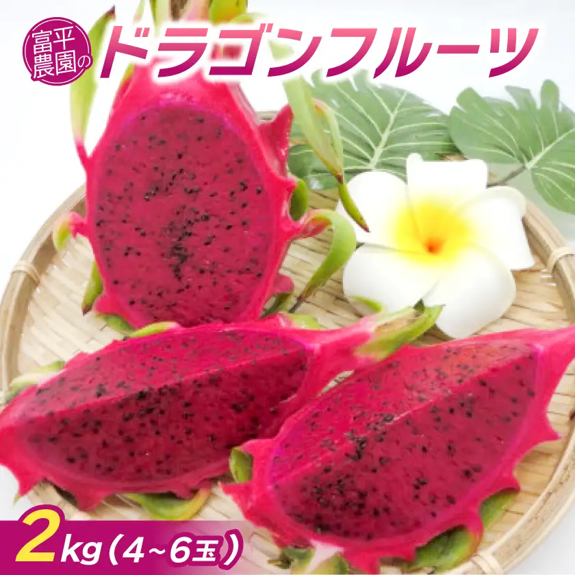 【2026年7月下旬から順次発送】富平農園のドラゴンフルーツ2kg(4～6玉)【1726882】