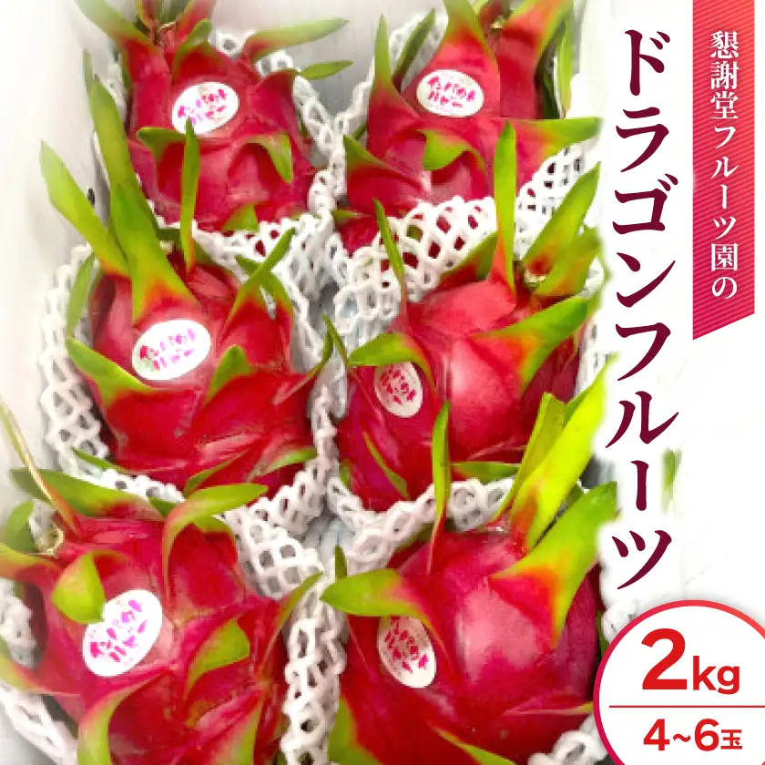 【2026年7月下旬から順次発送】懇謝堂フルーツ園のドラゴンフルーツ2kg(4～6玉)【1726883】