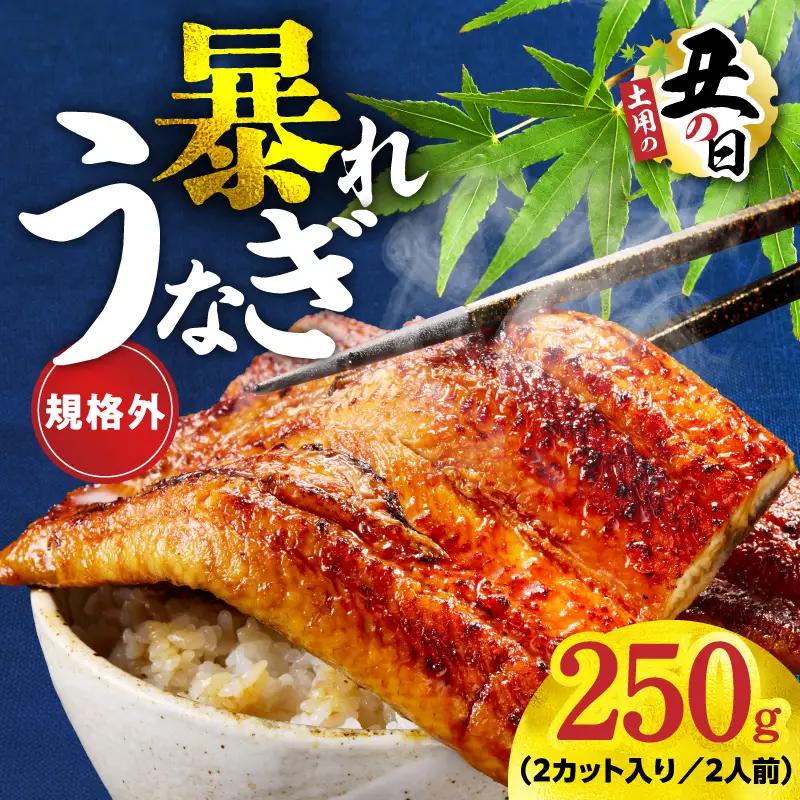 【土用の丑の日までにお届け】うなぎ 暴れ盛り 250g（2カット）