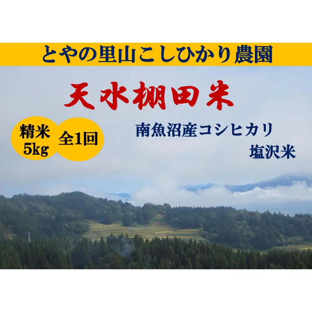 令和8年産新米予約【天水棚田米】雪蔵熟成塩沢産コシヒカリ精米5kg1回「とやの里山継承プロジェクト」【銘柄米 ブランド米 精米 こしひかり コシヒカリ 魚沼産 新潟米 お米 米 こめ】【2026年10月下旬より順次発送予定】