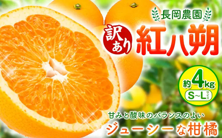 はっさく 訳あり 紅八朔 約4kg