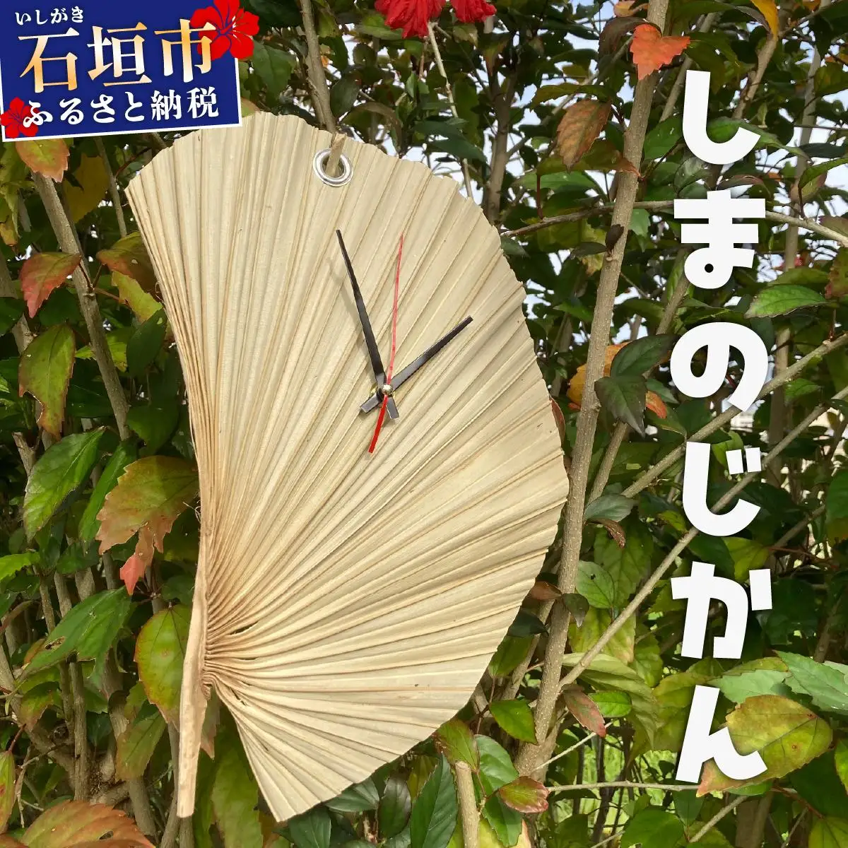 しまのじかん 壁掛け時計 