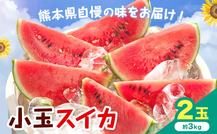 【先行予約】小玉スイカ 2玉 約3㎏ 日本フルーツ株式会社 《4月下旬-7月下旬頃出荷》 こだますいか 西瓜 すいか フルーツ 果物 くだもの 旬 熊本県 菊池市 熊本県産 くまもと