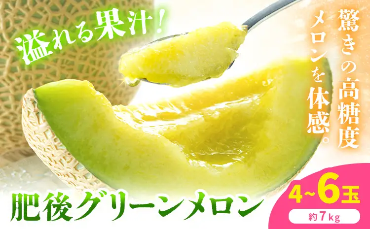 【先行予約】肥後グリーンメロン 4～6玉 約7kg 日本フルーツ株式会社《5月上旬-7月下旬頃出荷》熊本県 菊池市 メロン 熊本県産