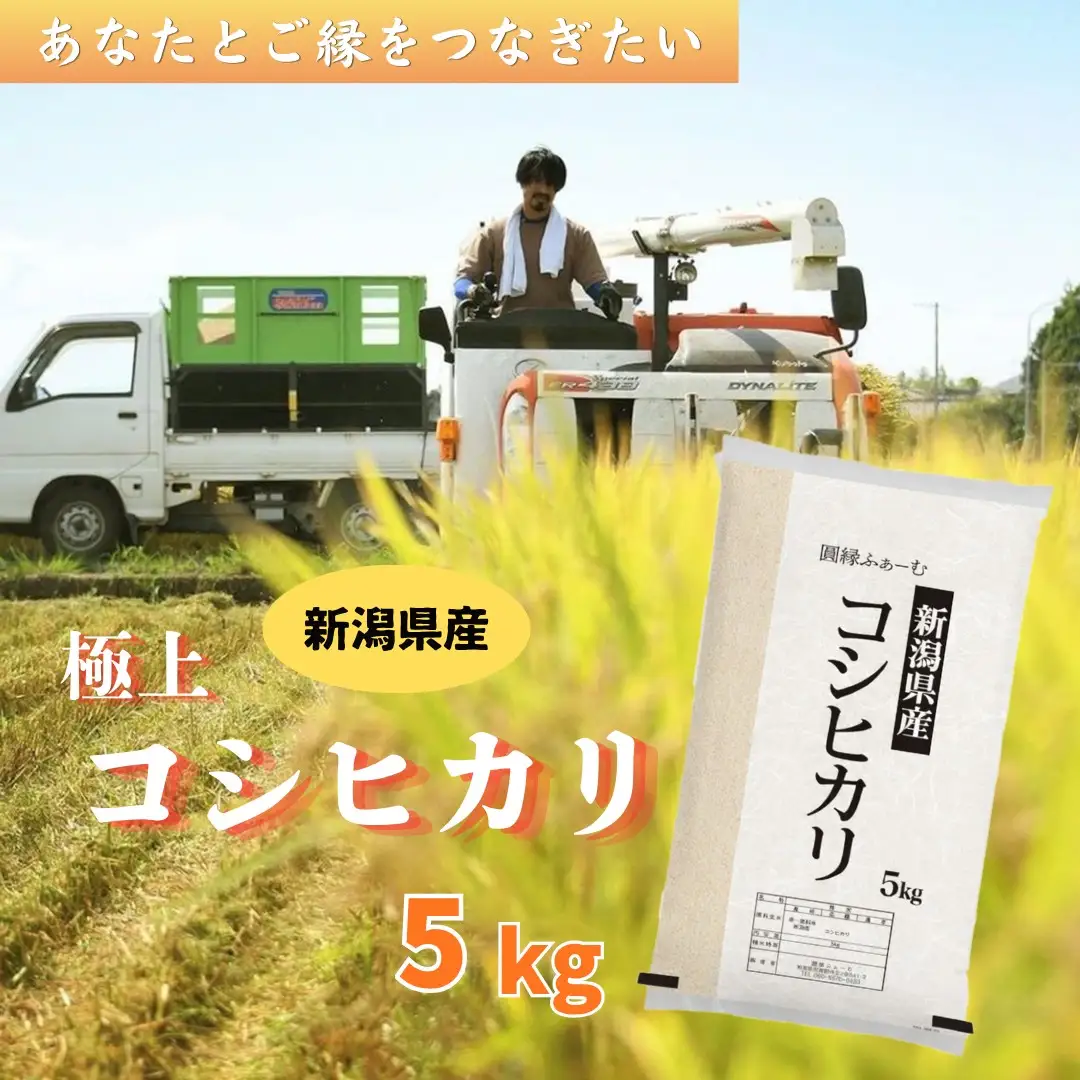 新潟県阿賀野市産 コシヒカリ 5kg 3D14015