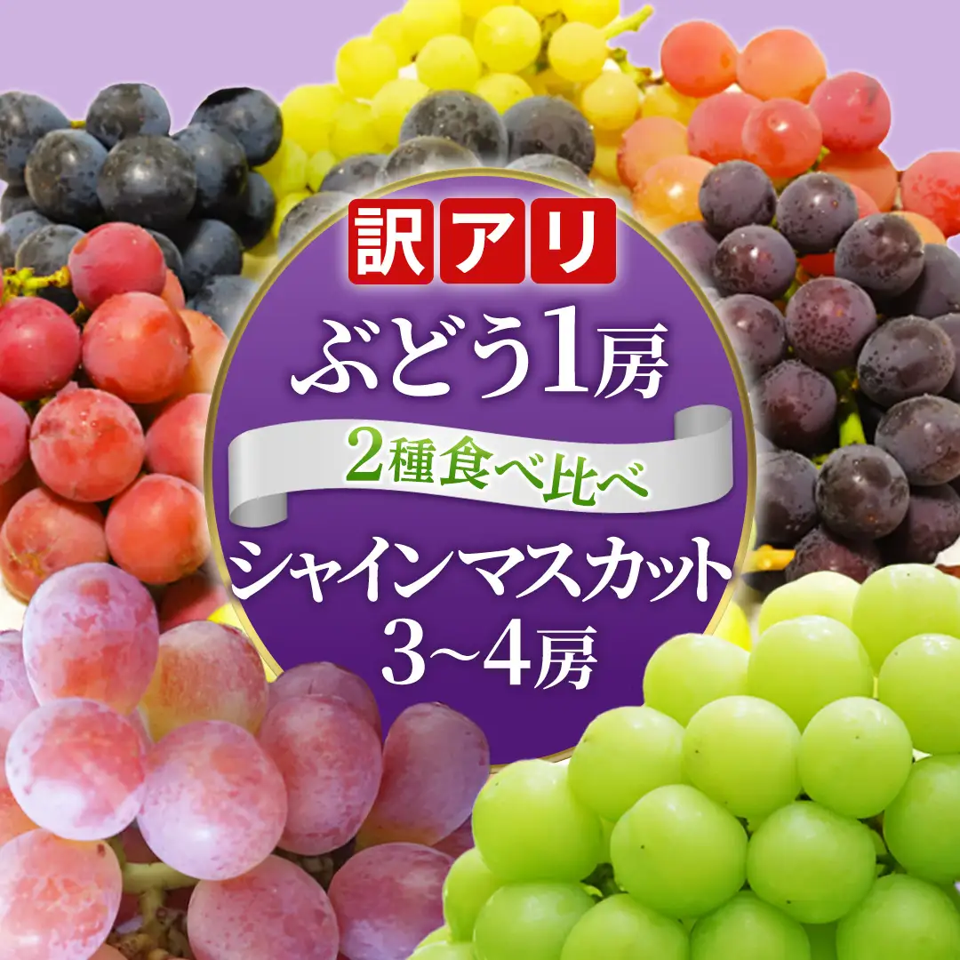 ＼訳あり ご家庭用／シャインマスカット (3～4房) ＆ 種なし 大粒ぶどう (1房) 合計 4～5房入 (DM006)